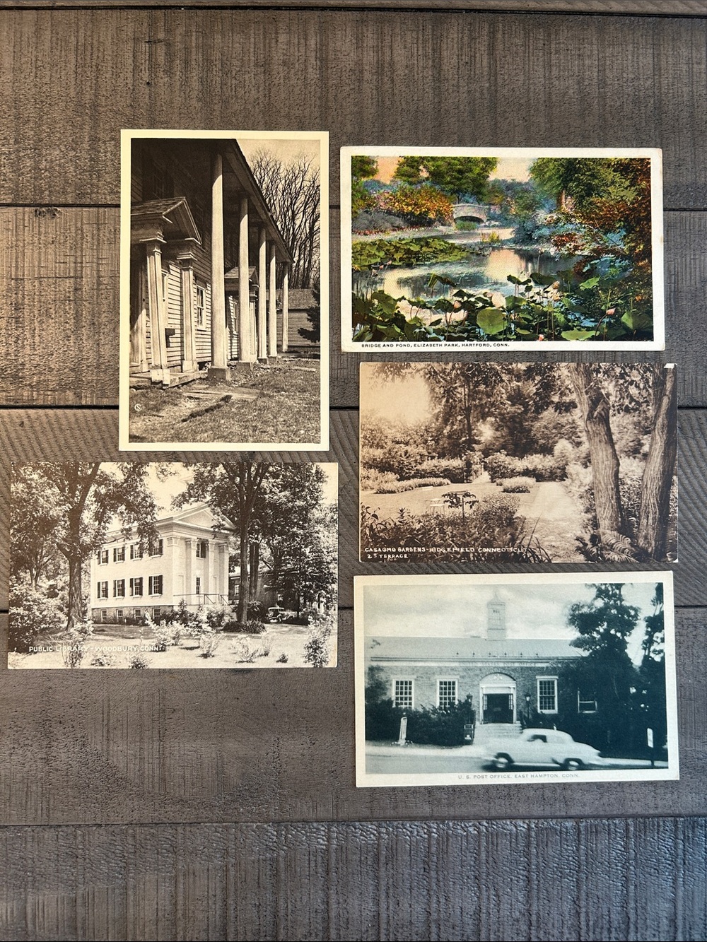Vintage Connecticut and Postcard Set - Architectural and Botanical